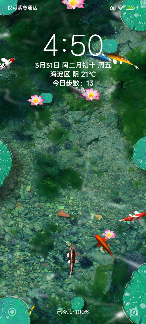 锦鲤 screenshot