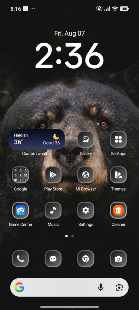 Bear screenshot