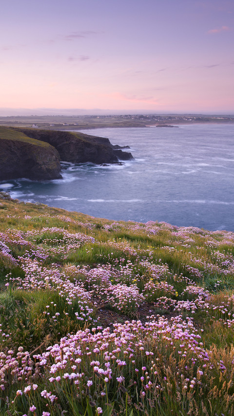 International-Cornwall screenshot