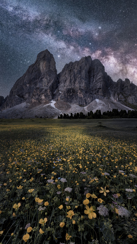 Mountain with Flower Field under Milk Way screenshot