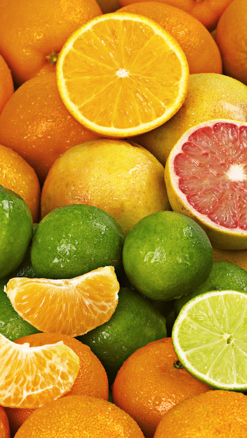 Citrus fruits composition screenshot