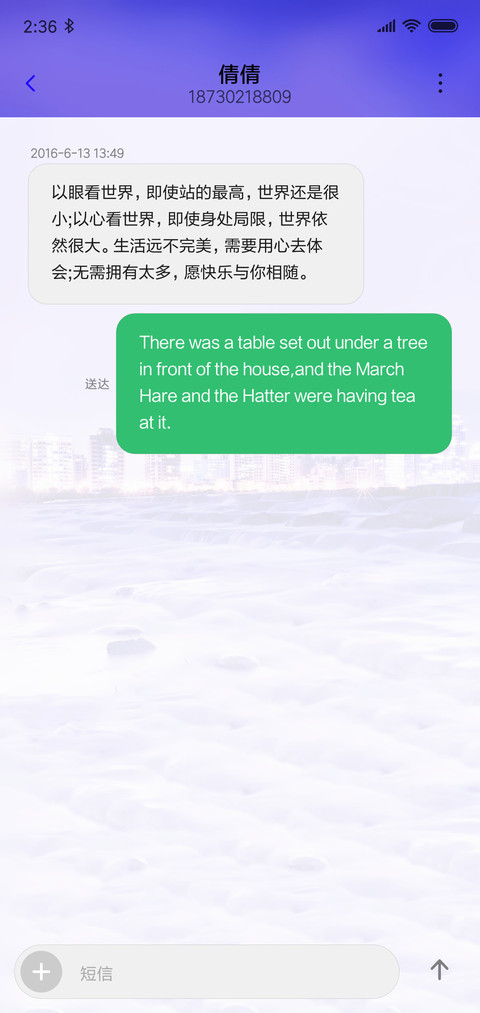 繁华的城市 screenshot