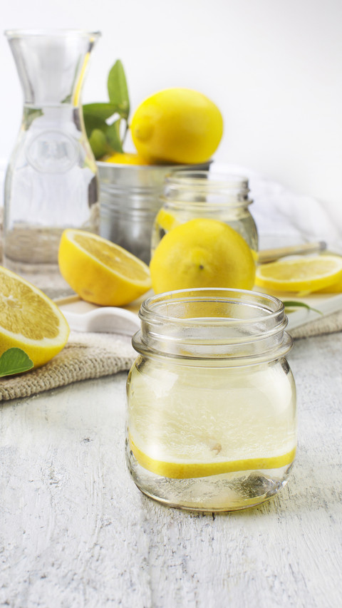 Can Lemonade Lose Weight 9 screenshot