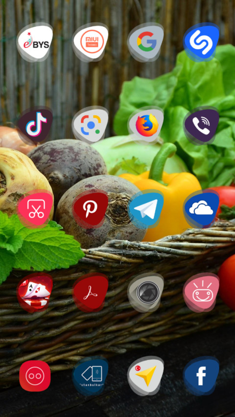 Healthy screenshot