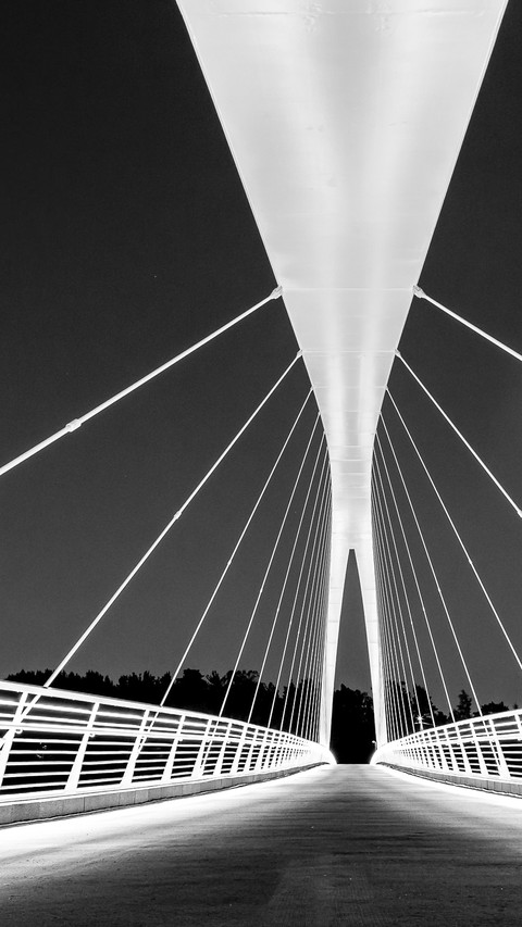 Bridge (10) screenshot