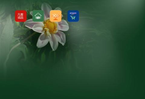 大丽鲜花开清新自然 screenshot