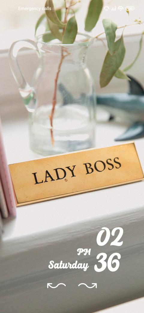 ladyboss screenshot