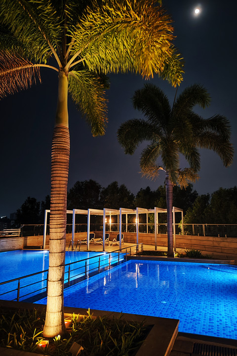 Palm & pool.jpg screenshot