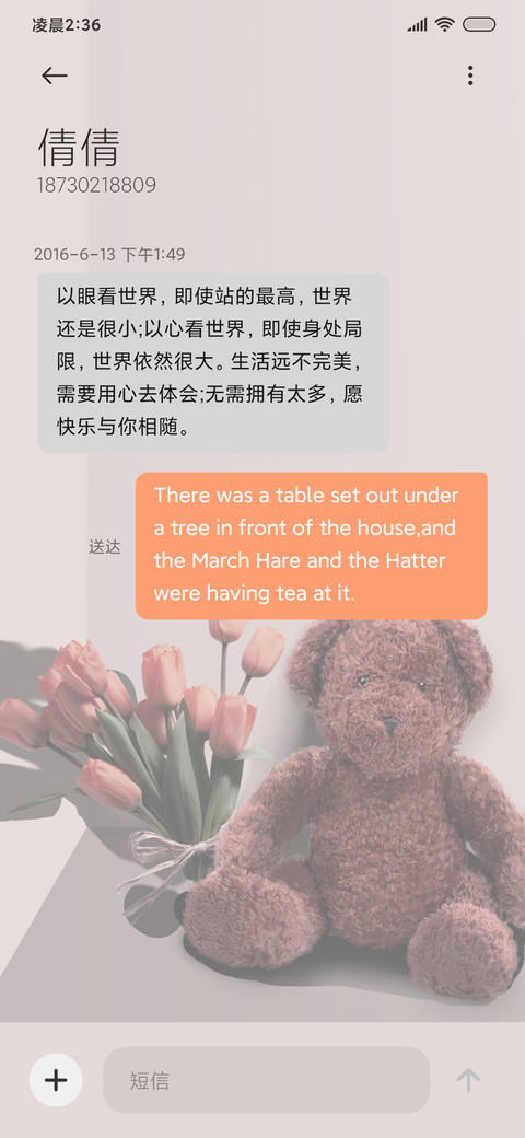 ins 可爱咖啡熊 screenshot