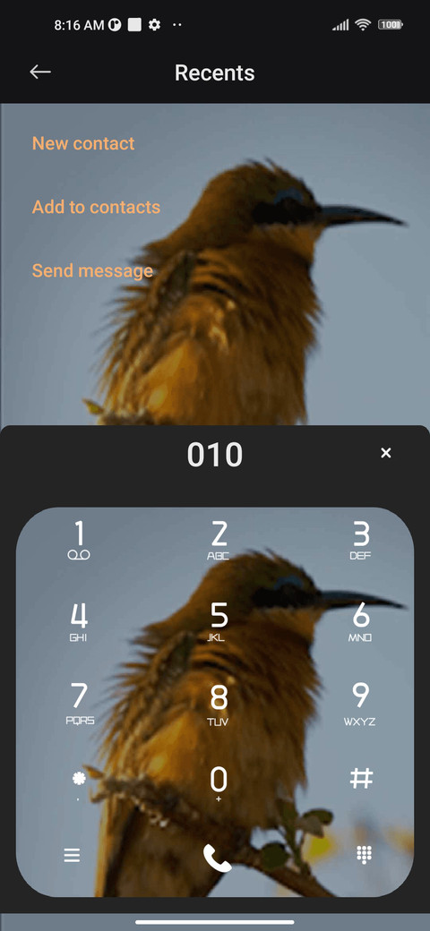 bee-eater screenshot