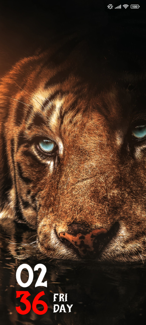 Tiger in Zoo screenshot