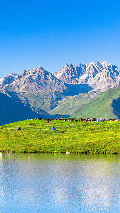 Landscape of Fairy Lake in Tangbula Grassland screenshot