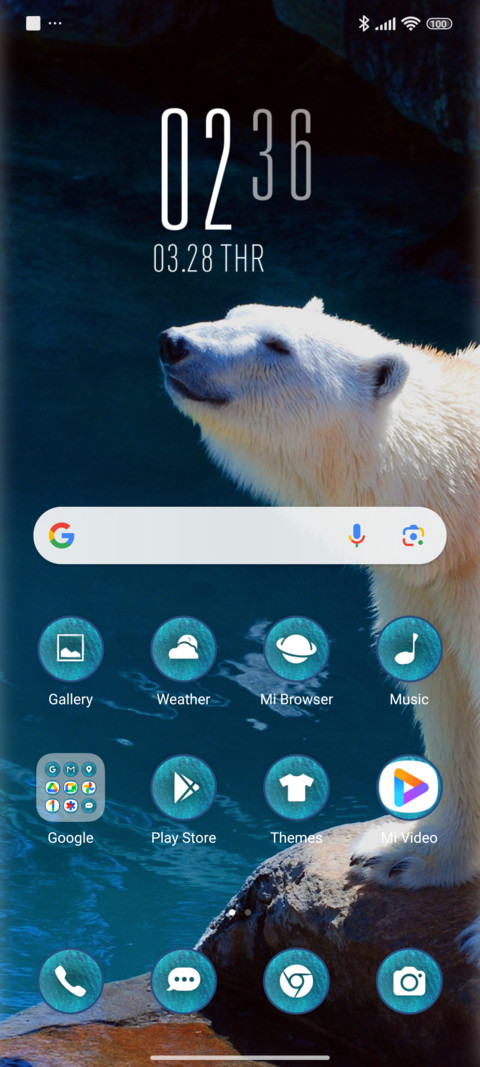 polar bear screenshot