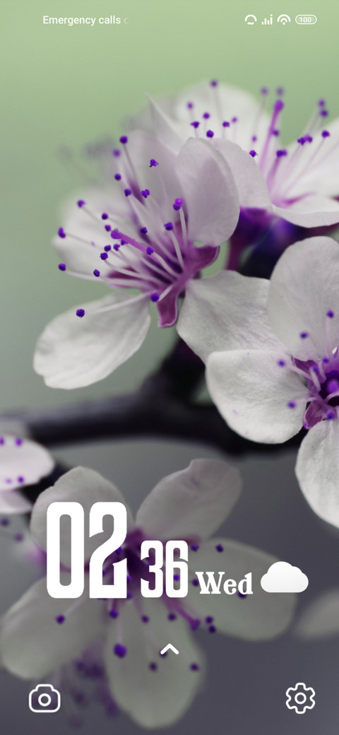 Purple Tulip screenshot