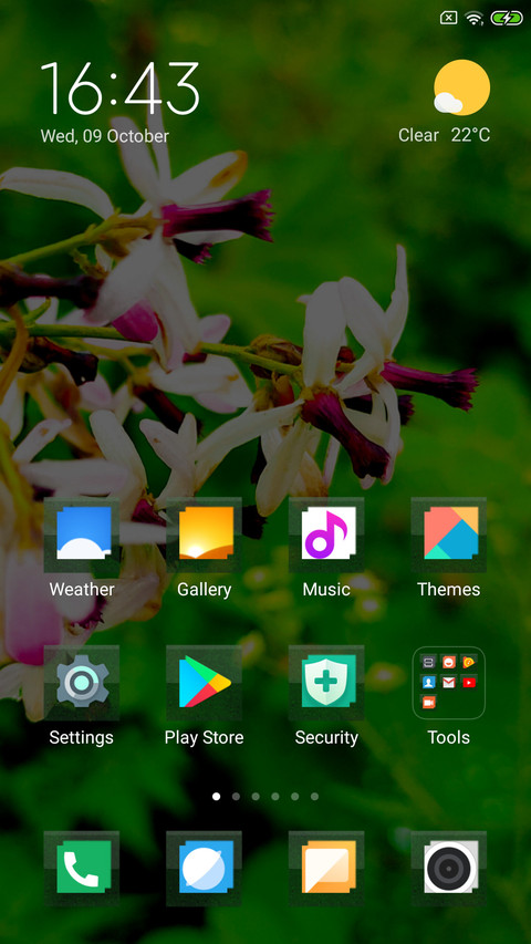 Bunch of flowers_DWM2 screenshot