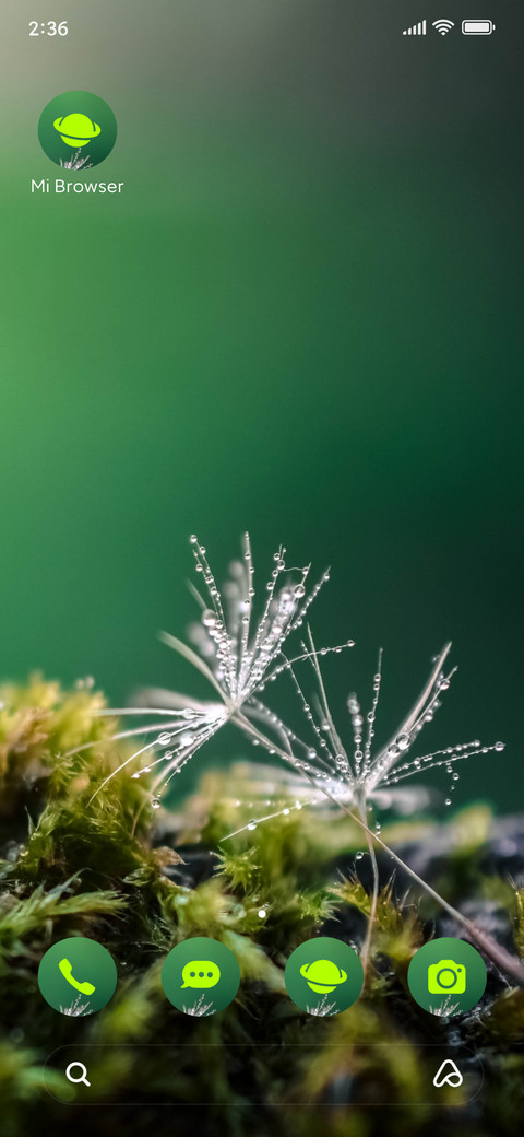 nature dandelion screenshot