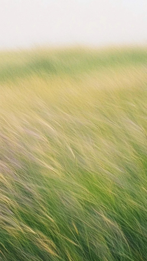 Letter from the Wind screenshot