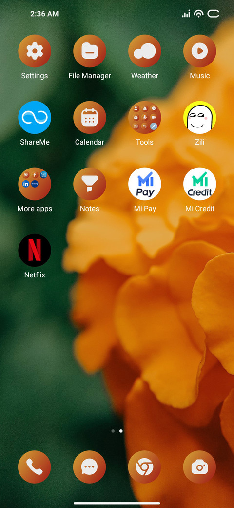 Orange Flower screenshot