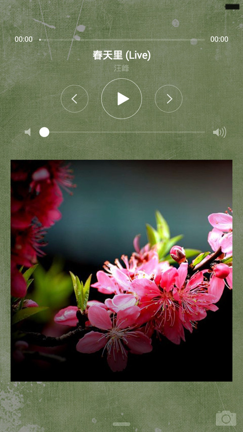 雅IOS（唯美一年都不用充电） screenshot