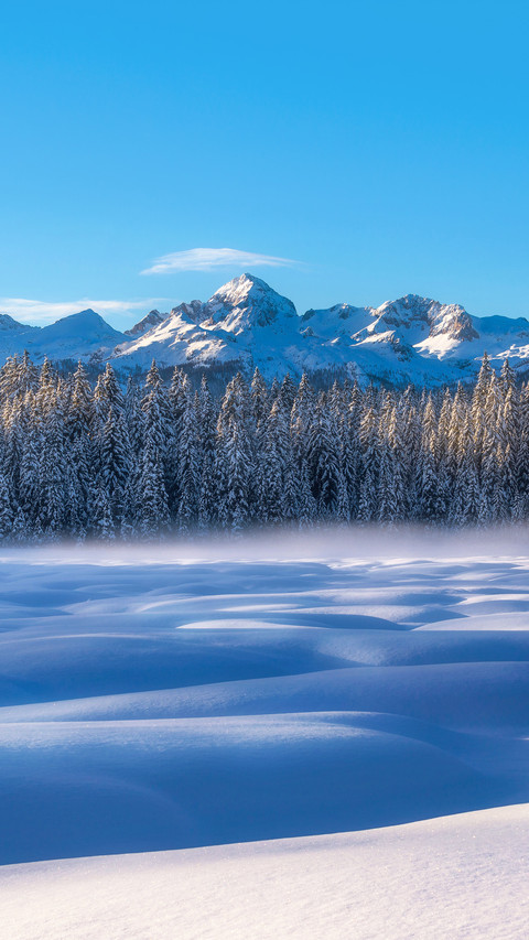 Winter at Pokljuka in Julian Alps screenshot