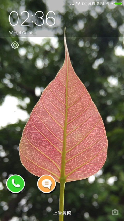 Redleaf Light screenshot