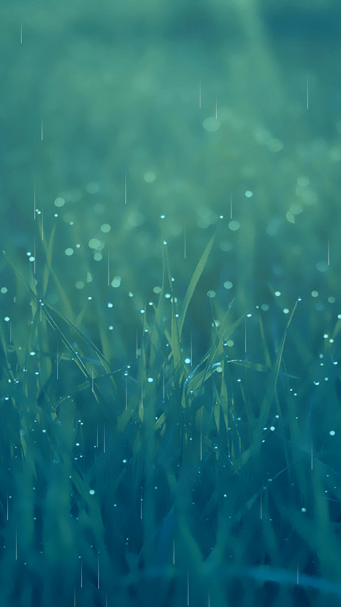 清新雨季 screenshot