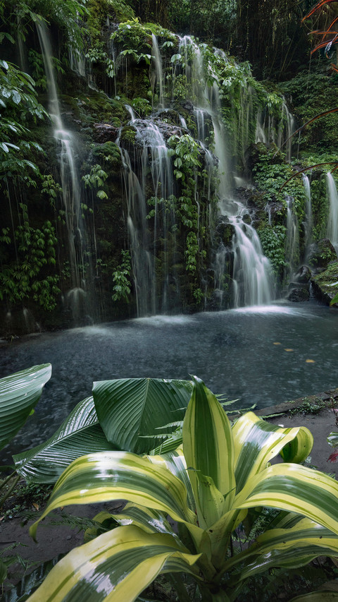 Rainforest waterfall screenshot