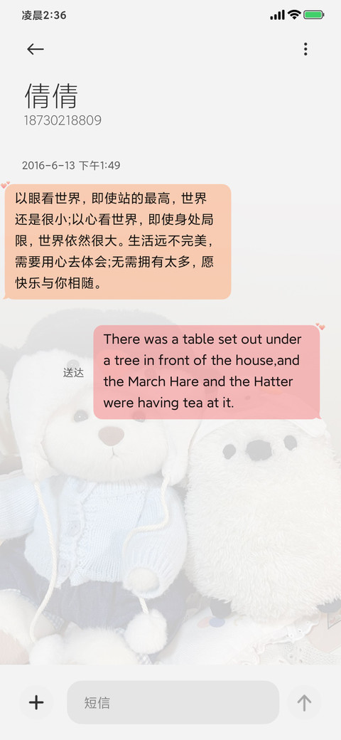 ins 玩偶小狗 screenshot