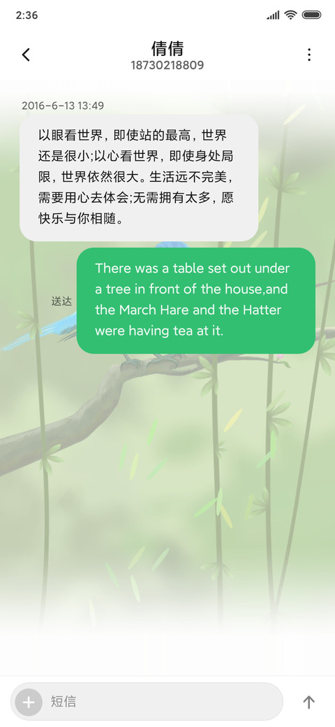 蓝色知更鸟 screenshot