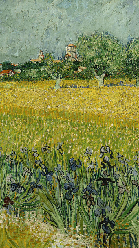 FieldwithFlowersnearArles screenshot