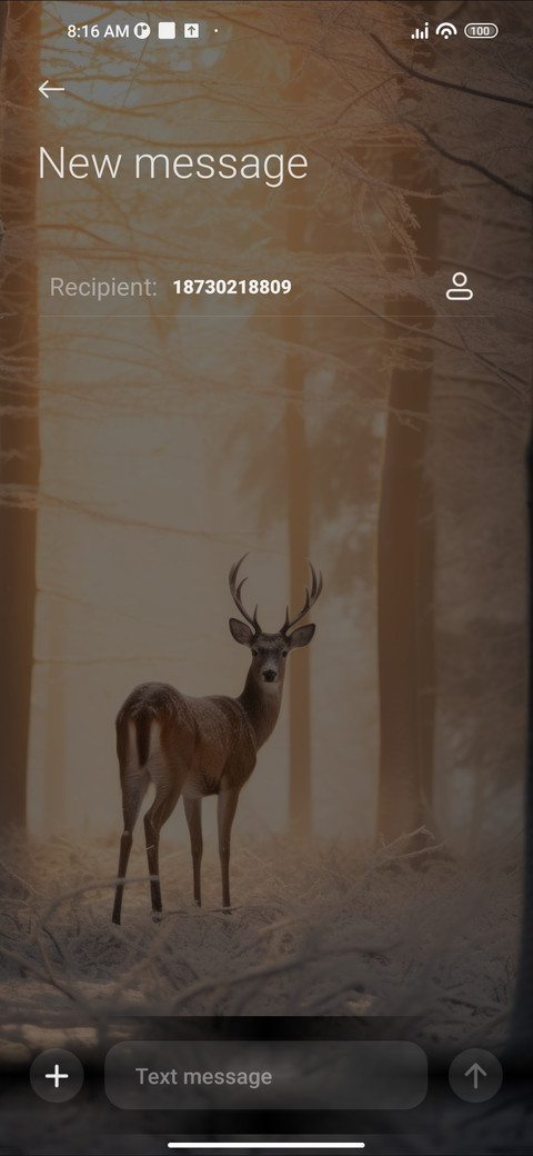 Deer in Woods screenshot