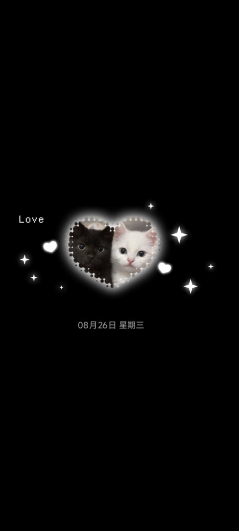 韩系拍立得波点小猫 screenshot