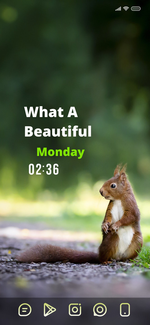 Cute Squirrel screenshot
