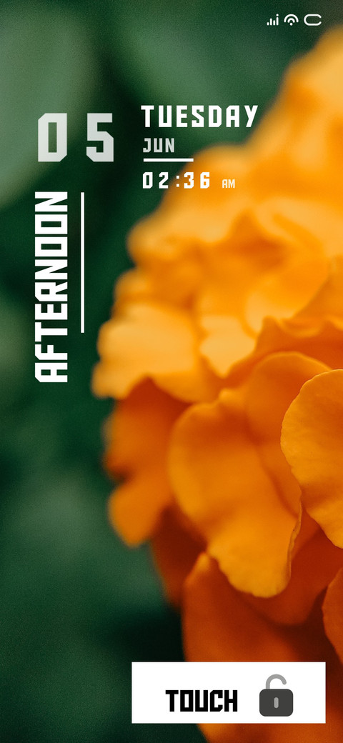 Orange Flower screenshot