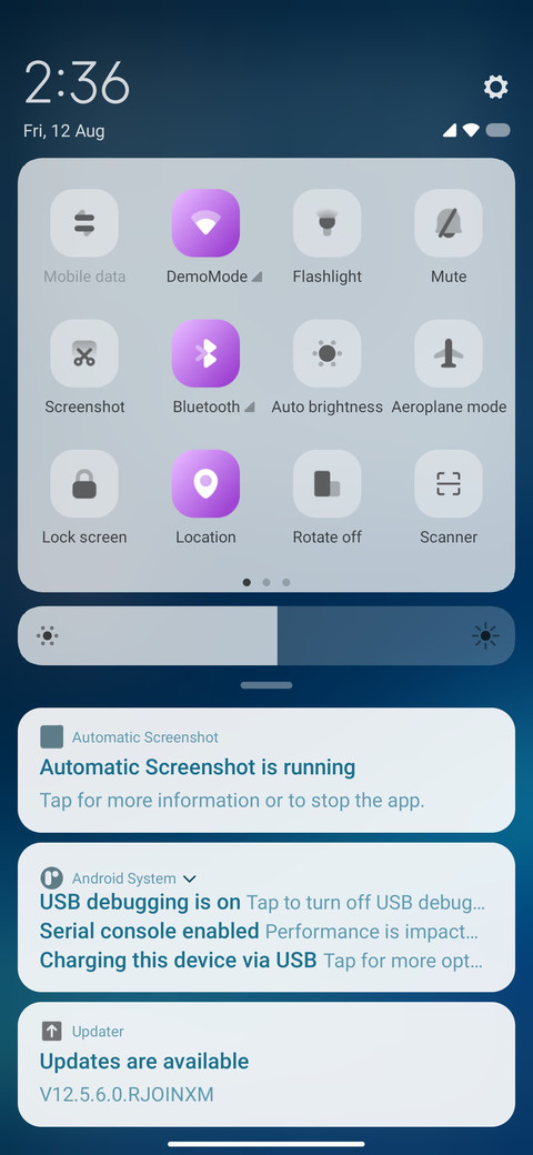 India screenshot