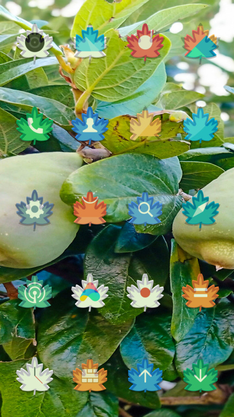 Fruits_DWM3 screenshot