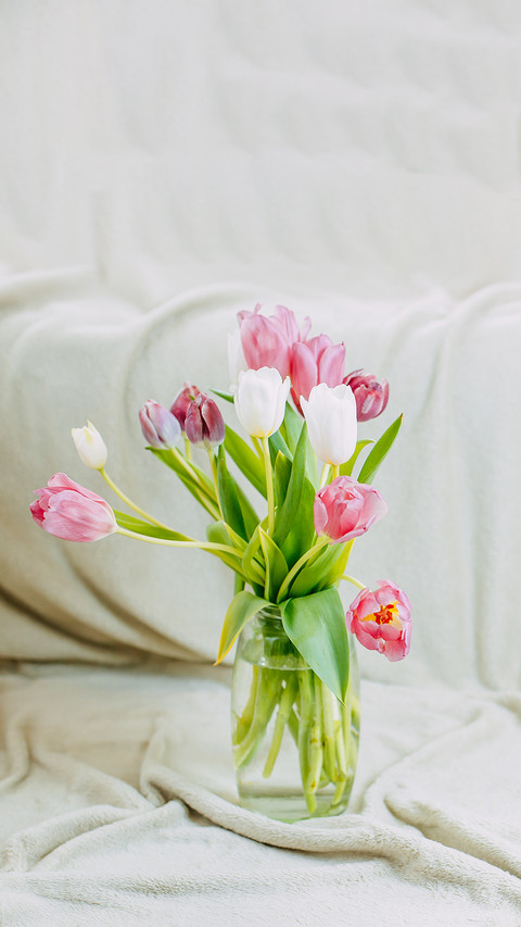 Spring flowers, bunch of tulips in the glass vase screenshot