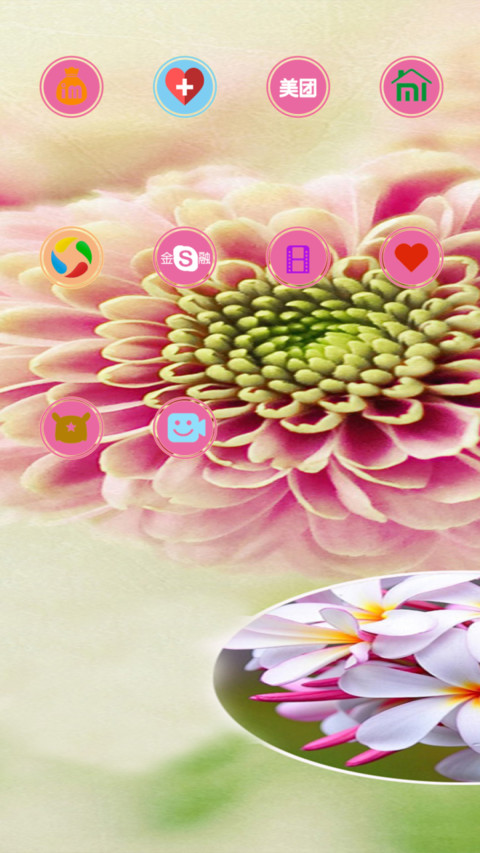 那些花儿 screenshot