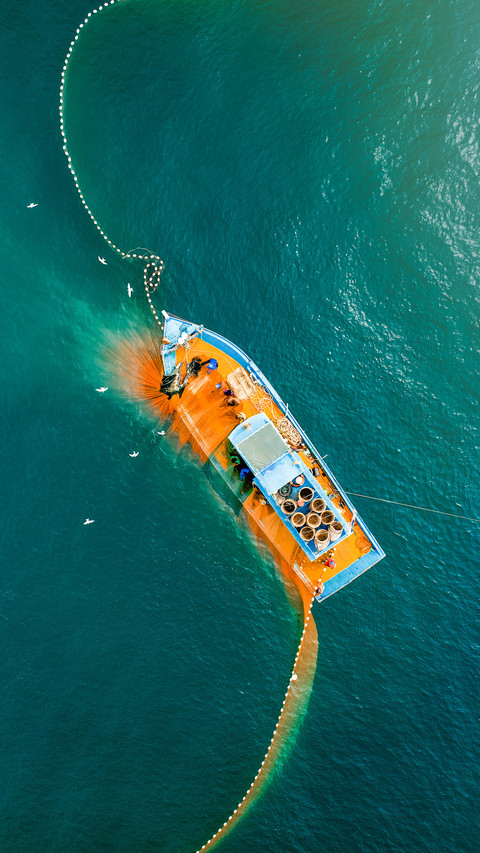 Fisherman catching fish using net at the ocean screenshot