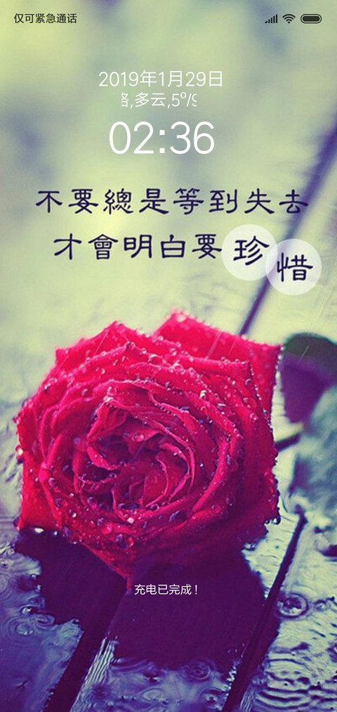 红色玫瑰 screenshot