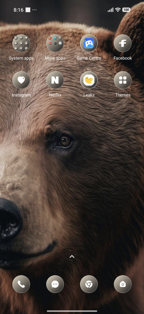 Bear screenshot