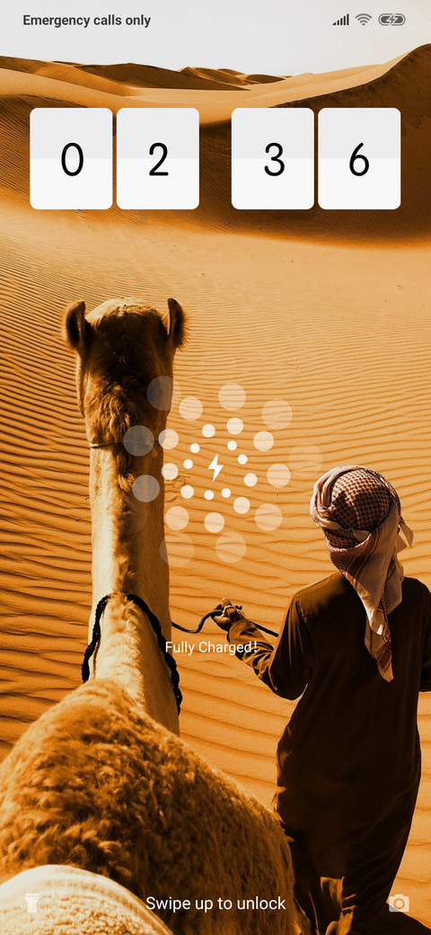 CamelSafari_3MDS screenshot