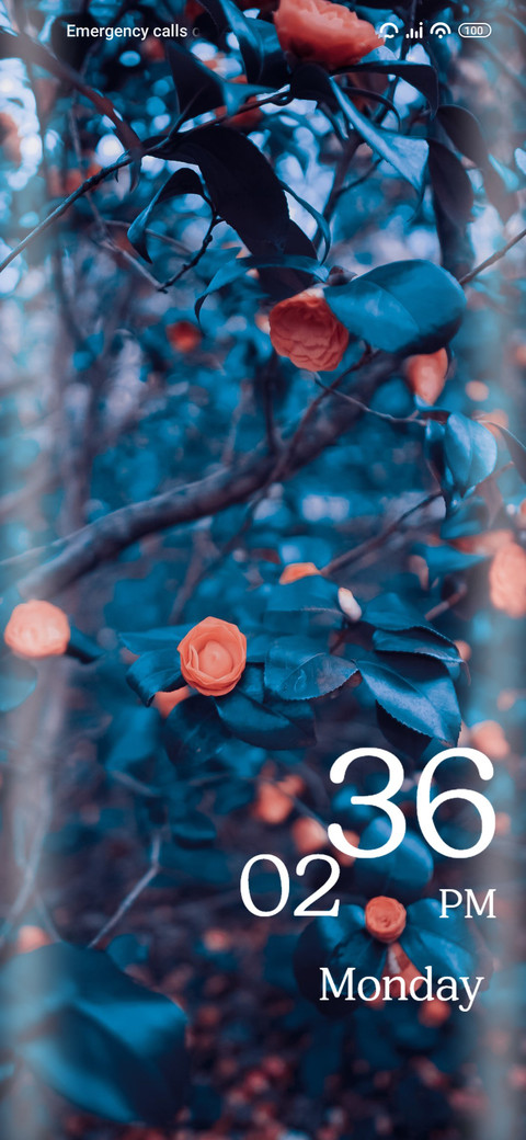 Flower screenshot