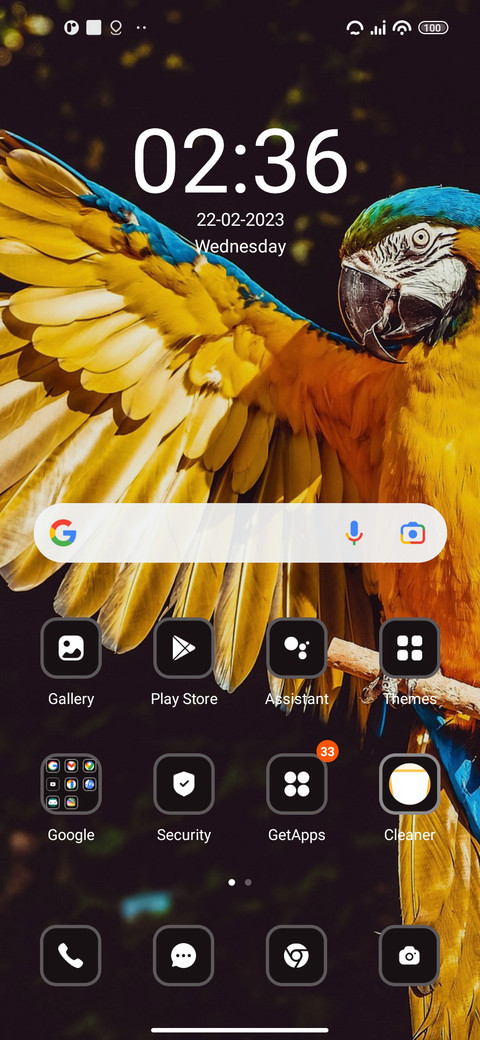 Yellow Macaw screenshot