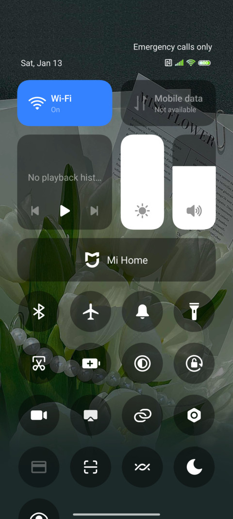Vitality of spring screenshot