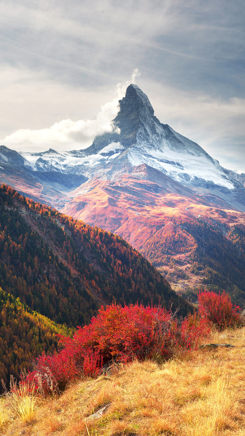 Scenery screenshot
