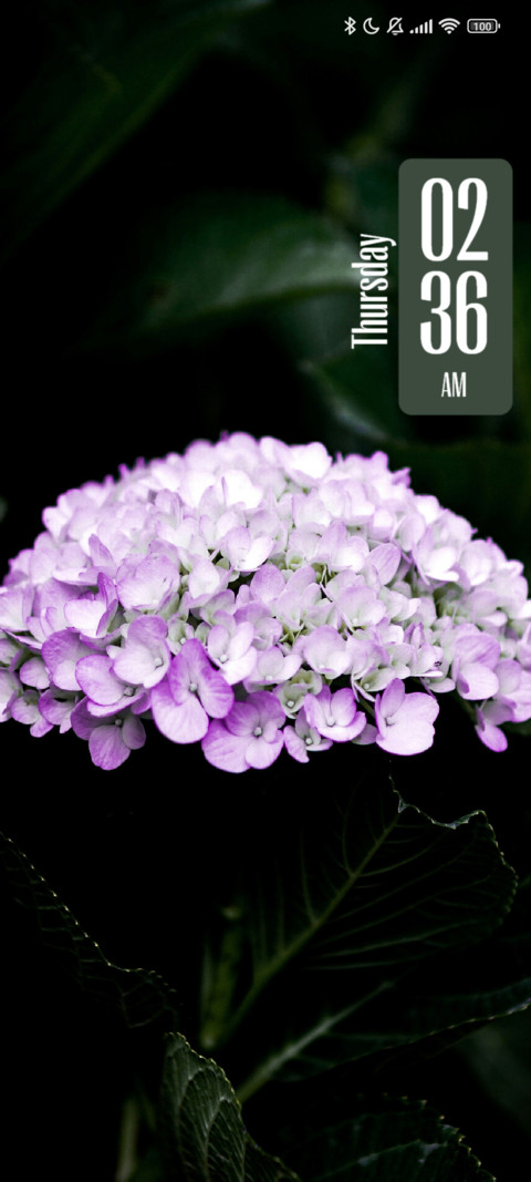 Green Leaves screenshot