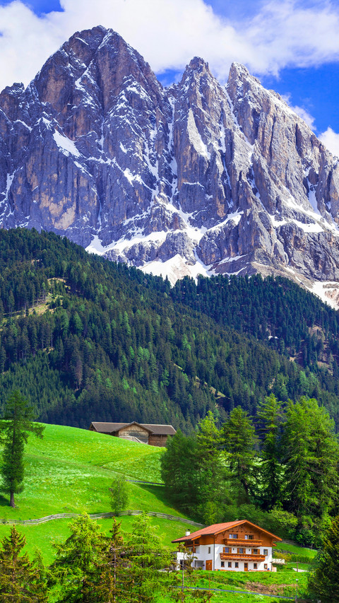Summer in the Alps screenshot