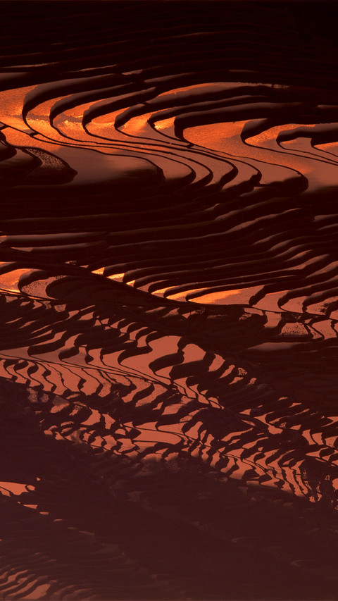 Beautiful Terraces screenshot