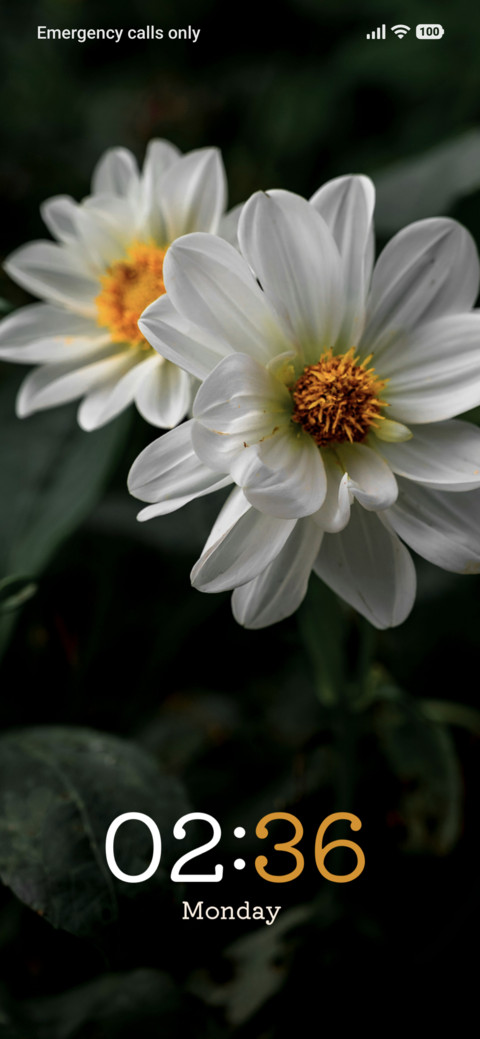 Ivory Cluster screenshot